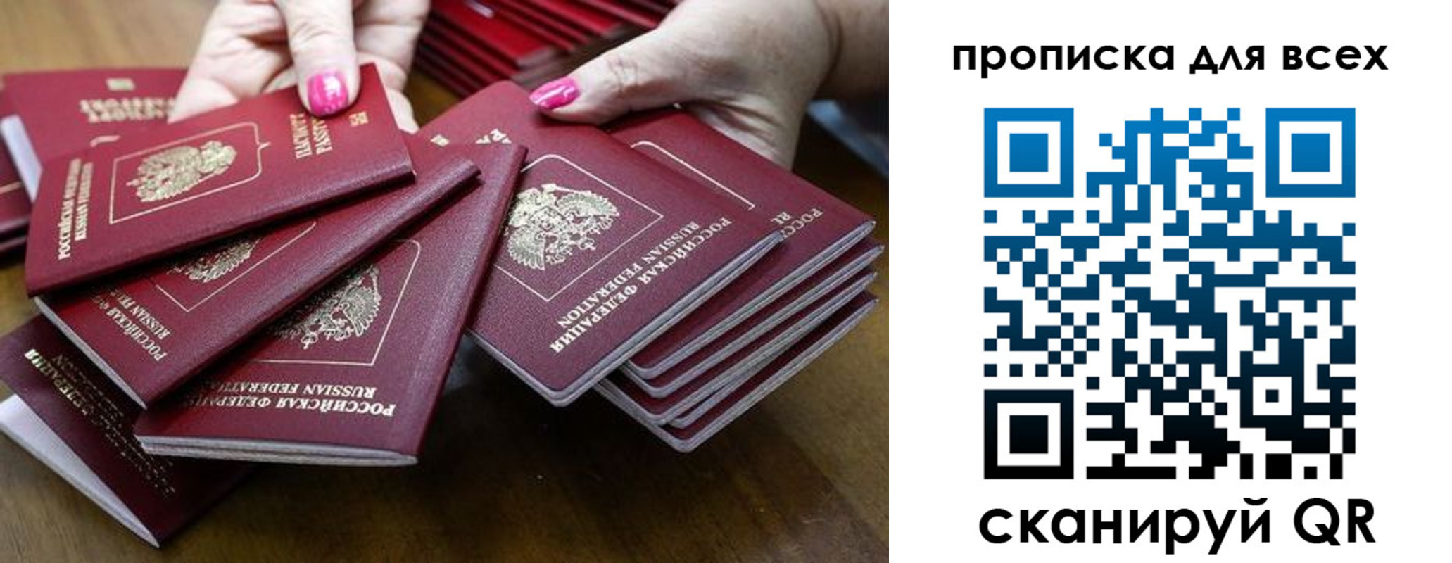 прописка гарантия в Дмитрове